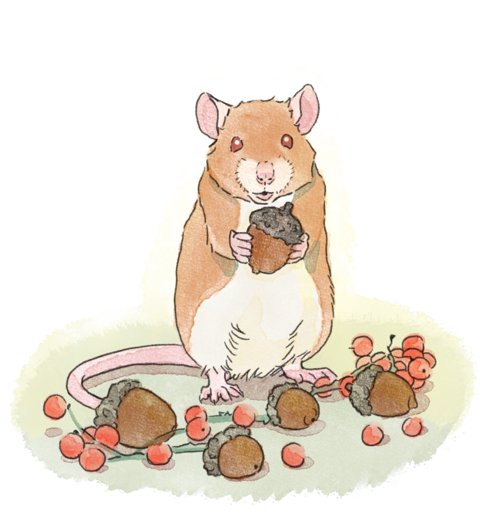 Toyo the Rat kami - The Keeper of Little Things
